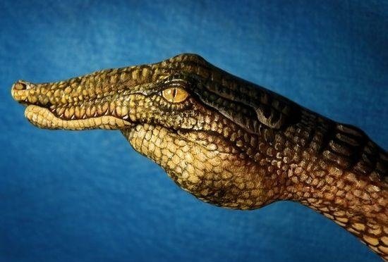 Ручные иллюзии — Интересное и необычное: фотоподборки