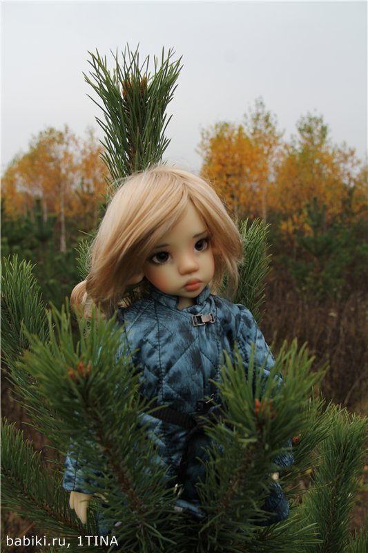 Моя прекрасная Ларисса от Kaye Wiggs