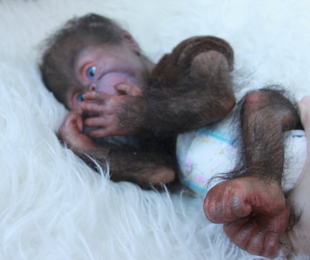 Манюня - обезьянка реборн Элины Кудрявцевой