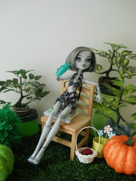 Monster High. Неканоническая история любви