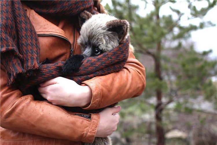 Енотьи прогулки. Авторские игрушки ручной работы Татьяны Матляк | Бэйбики Енотьи прогулки. Авторские игрушки ручной работы Татьяны Матляк (фото 2)