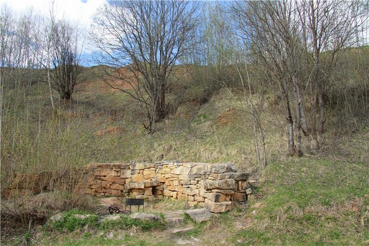 На водопад с Райли. Riley от автора Helen Kish (фото 9)