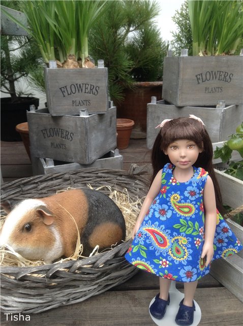 Малышки LeeAnn Bastien и Lili Oldenburg (фото 3)