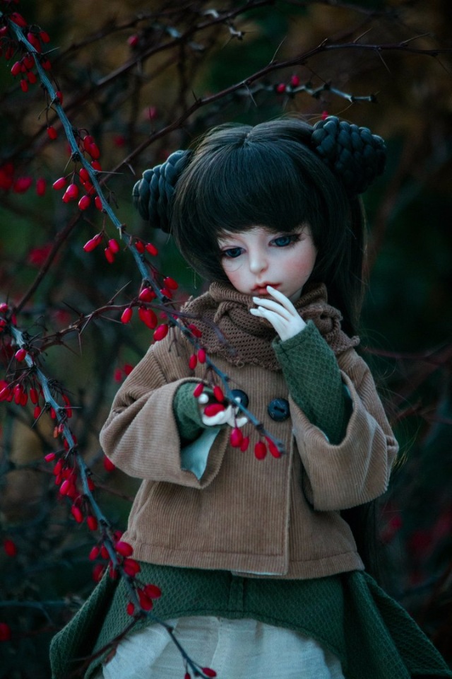 Спонтанная прогулка — Куклы Dollzone (Доллзон): BJD (БЖД) (фото 5)