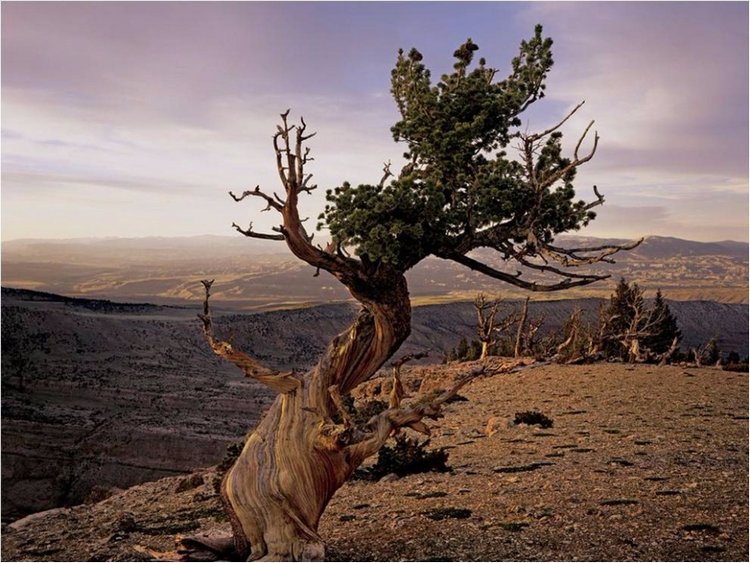 Лучшие фото National Geographic