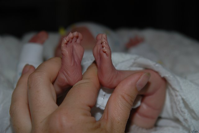 Катенька,малышка ооак Каравайчик Ольги (фото 3)