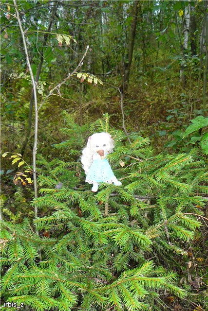 Осенняя сказка. Часть 3(заключительная). PukiFee Ante Ариэтти, PukiFee Bonnie Ариэль | Бэйбики Осенняя сказка. Часть 3(заключительная). PukiFee Ante Ариэтти, PukiFee Bonnie Ариэль