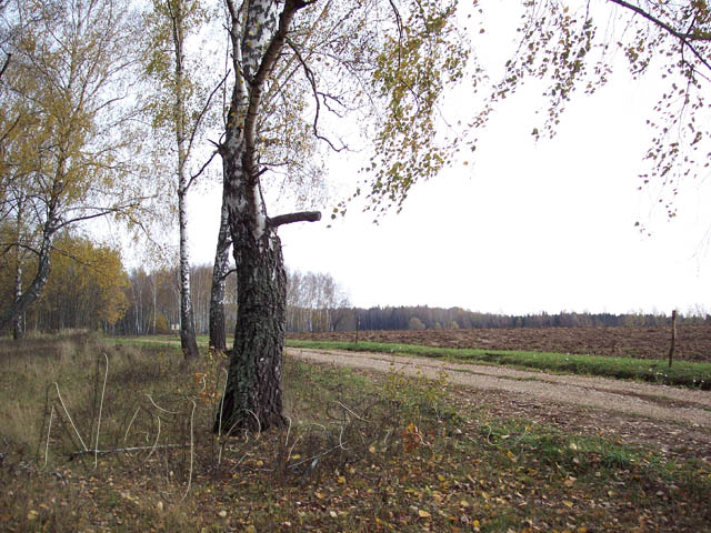 Осенняя поездка. Куклы Gotz и Berenguer (фото 5)