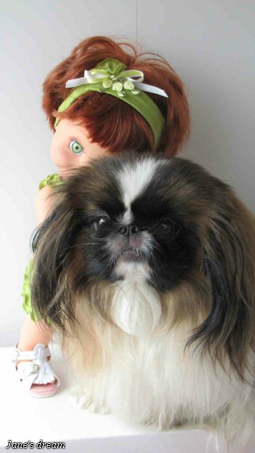 Прекрасные Феи Цветов. Galoob - Baby Face, часть 1