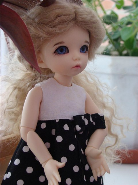 Моя воображуля Николь (или заберите у меня фотоаппарат))))) (фото 4)