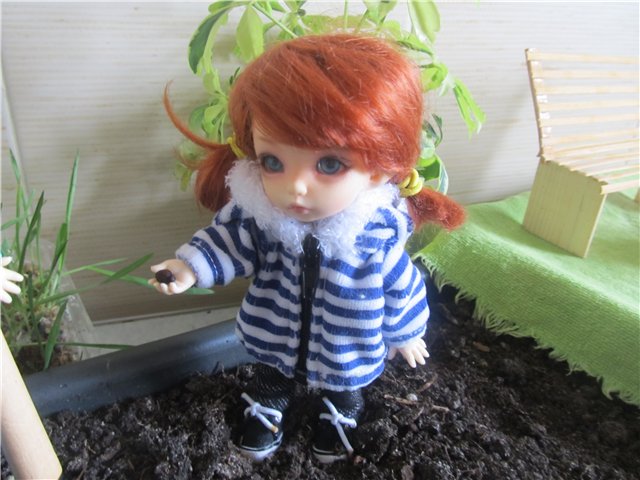 "Мастер-класс" по посадке огорода (фото 10)