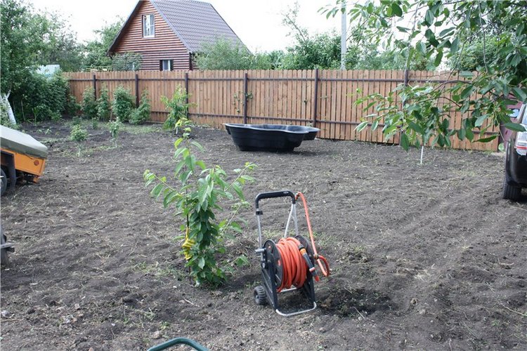 Лето на даче! Margie и Lenka от Annette Himstedt (фото 9)