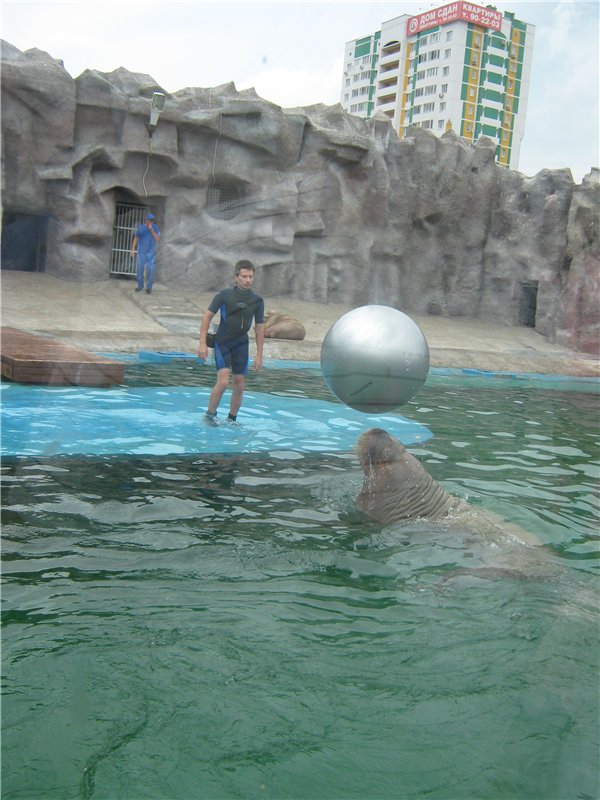 Пупсы Nines Artesanal D'Onil в Ижевском зоопарке (фото 5)