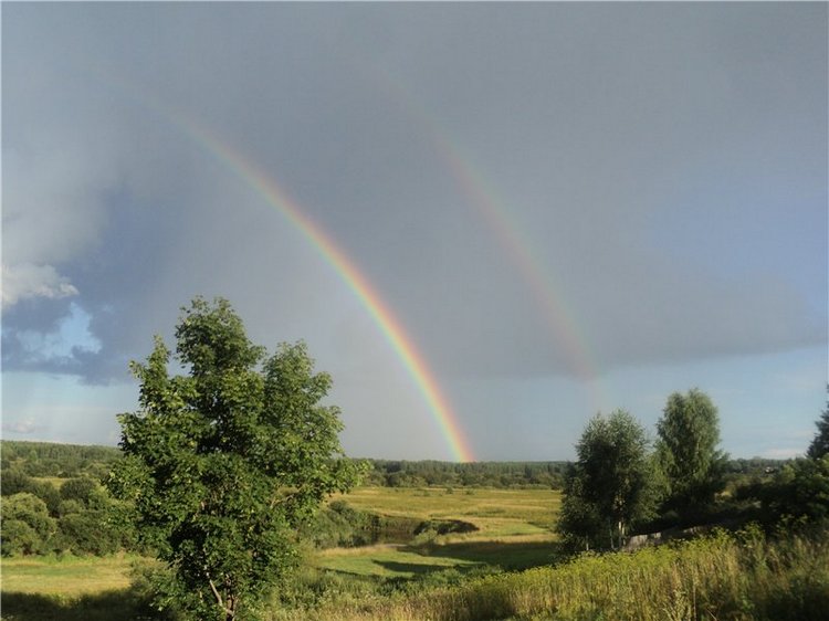 Ждем лета и верим в чудо! Куклы Готц и наряды