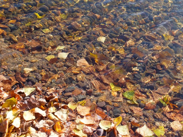 Осень золотая пора. Натали, LUTS (мейк от WOLKOLAK) (фото 8)