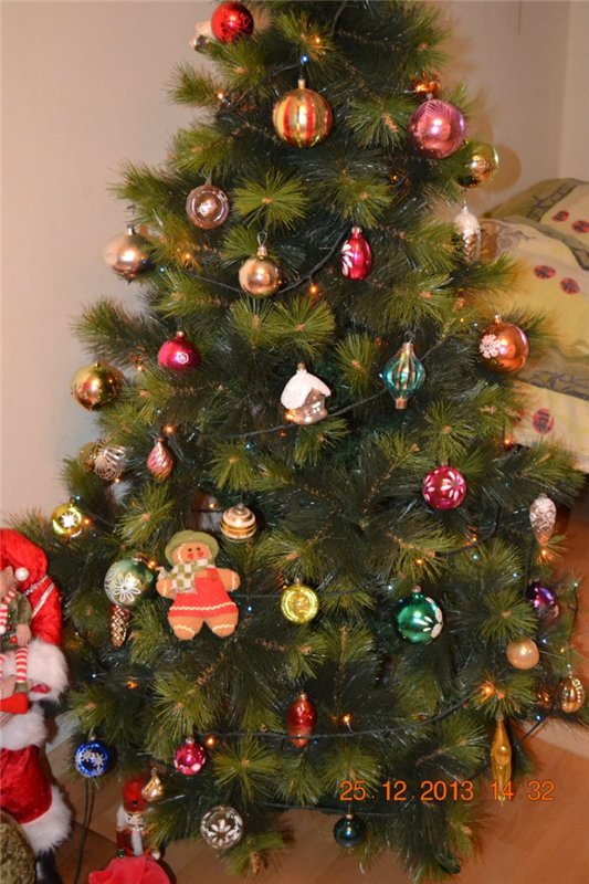 Ко встрече Нового Года готовы) (фото 5)