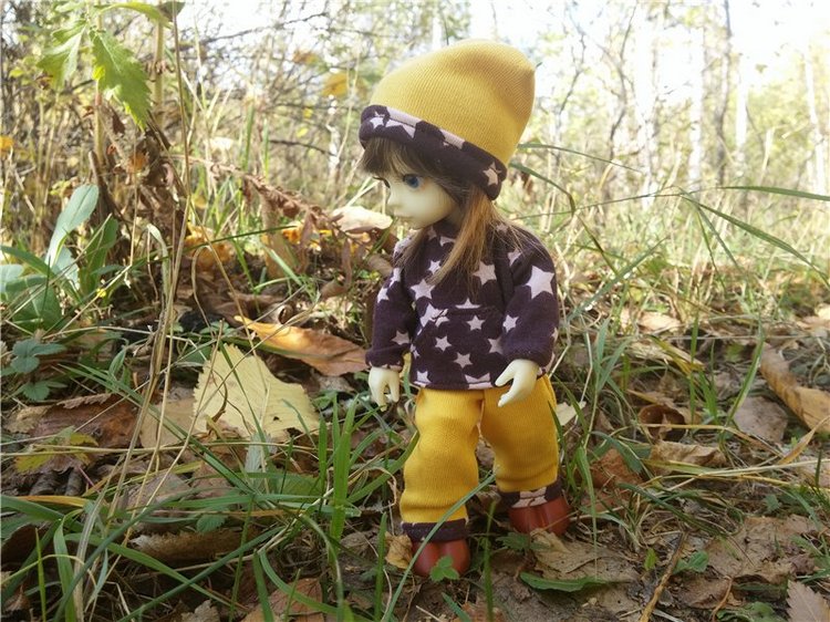 Осенний олененок — Куклы Fairyland (ФэйриЛэнд): BJD (БЖД)