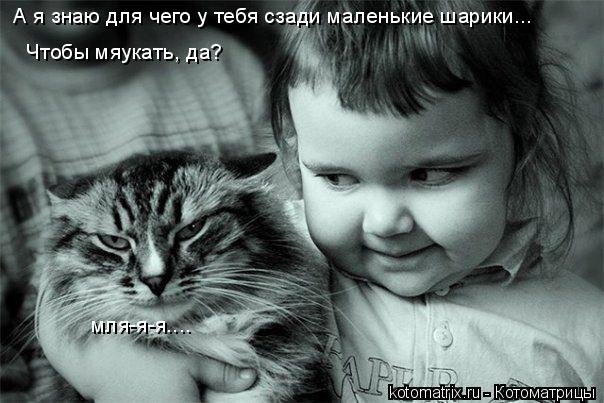 Кошачий позитив — Интересное и необычное: фотоподборки