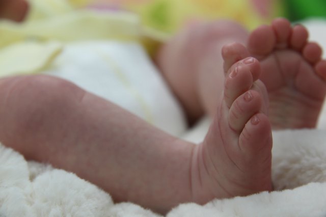 Софийкин! Кукленок реборн Виктории Вишни