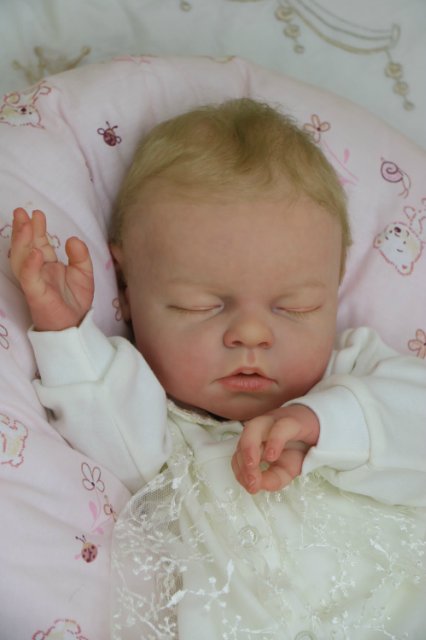 Ноашечка. Куколка реборн Виктории Вишни