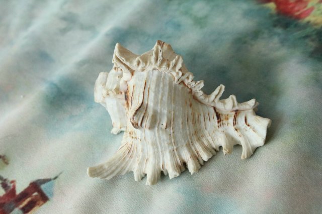 Игрушки детства — Игрушки СССР и советского детства: резиновые