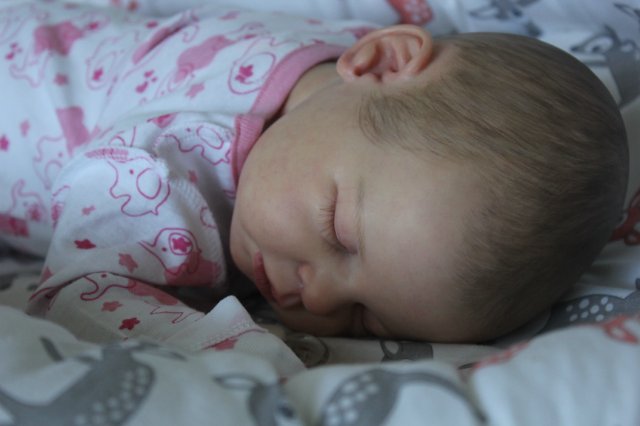 Малышка Ноа,мой нежный цветочек. Кукла реборн Катерины Осиповой-Коняевой