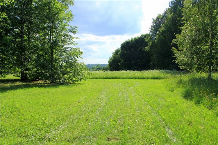 46-ой Пушкинский праздник поэзии в Берново. Часть первая