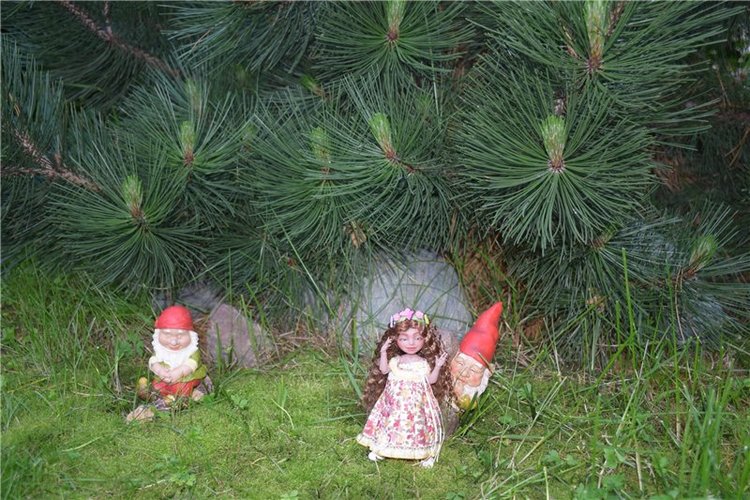 Одна кукла, а столько образов! Распаковка "Домисоль", авторская кукла Марии Пикуновой