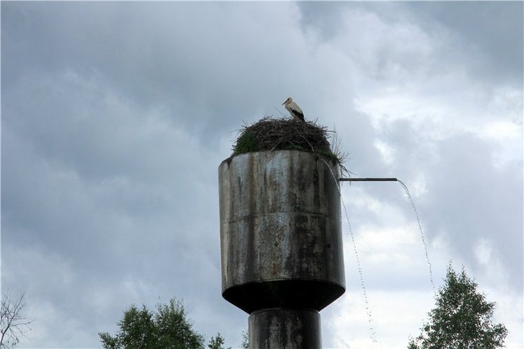 46-ой Пушкинский праздник поэзии в Берново. Часть вторая