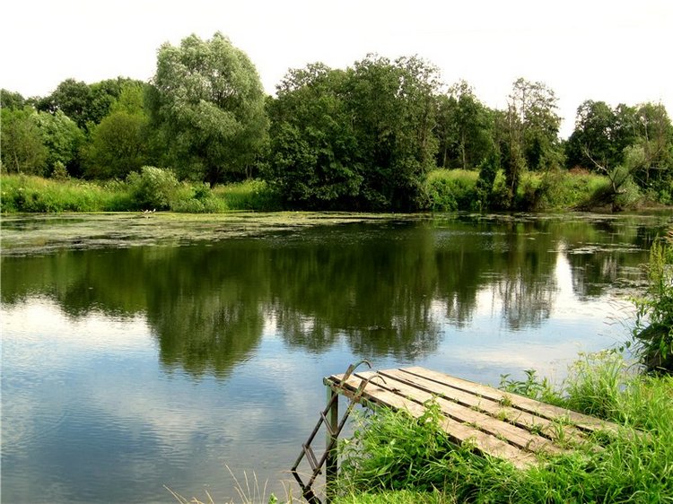 Пополнение в семействе! Фейсинки (фото 7)