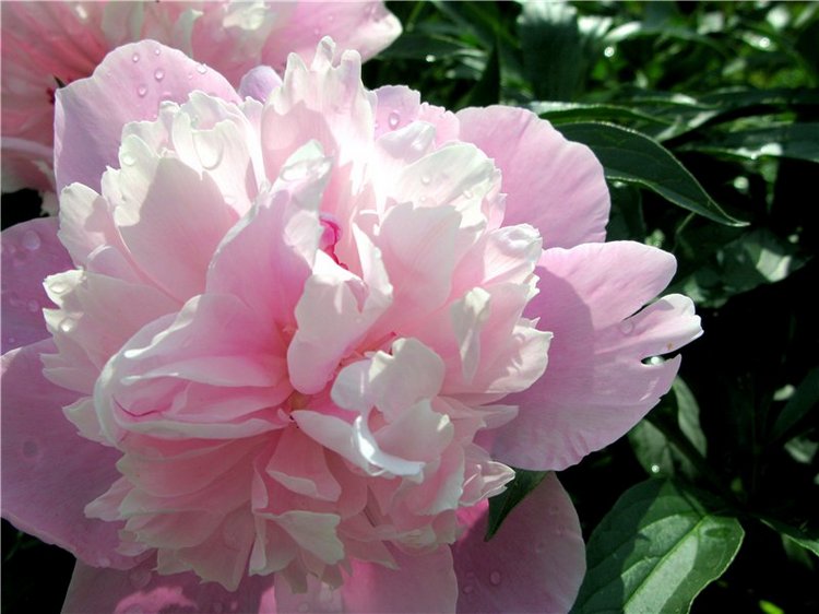 Кашин - город русского сердца. Часть седьмая. Вознесенский кафедральный собор