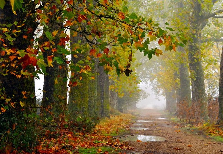 Красотка-осень — Болталка и разговоры обо всем: жизнь