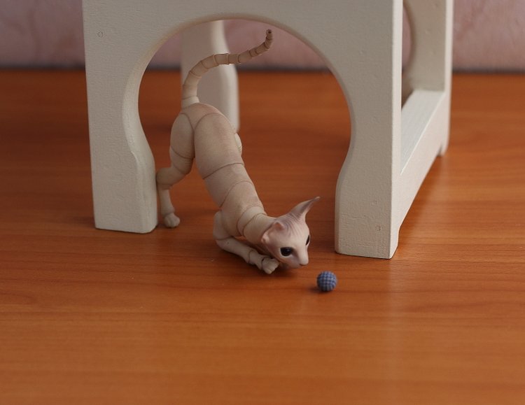 Кот играет с мячиком — Разные куклы BJD (БЖД): редкие бренды