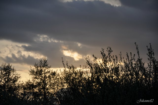 "Первый майский день..." Оливия от Helen KISH