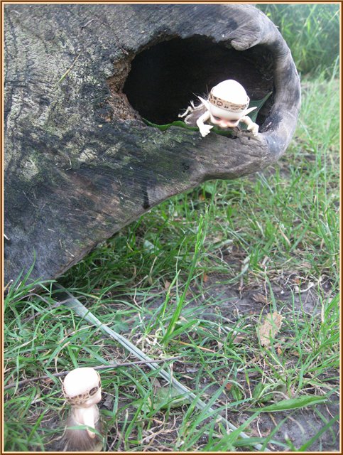 Путешествие Яшки | Бэйбики Путешествие Яшки — Куклы Fairyland (ФэйриЛэнд): BJD (БЖД)