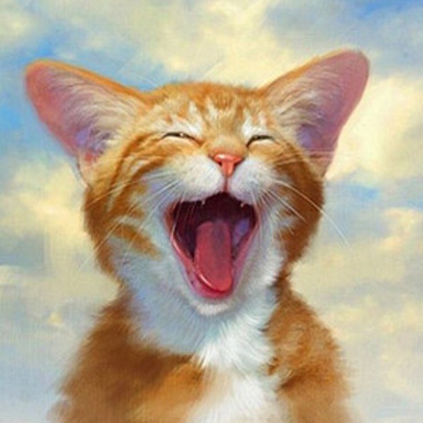 Как хранить парики для кукол БЖД