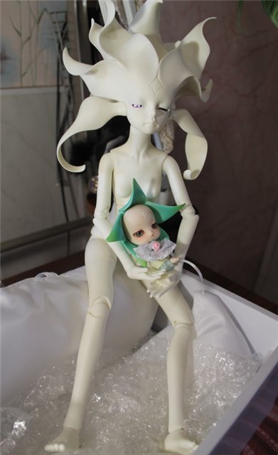 Новые Цветочки, у меня в Садочке! Anson Fairies, Dollzone (фото 7)