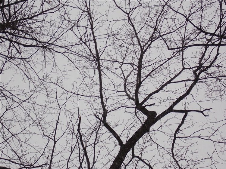 Тропинки Куш - Тау или Варваркины выходные