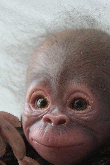 Обезьянка Bindi кукла реборн Элины Кудрявцевой