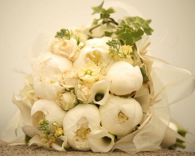 Айвори, Ivory - девушка цвета слоновой кости или кукла от автора Сюзан Крей, Susan Krey | Бэйбики Айвори, Ivory - девушка цвета слоновой кости или кукла от автора Сюзан Крей, Susan Krey (фото 4)