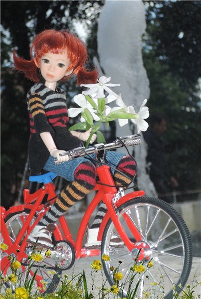 Велик, Мурзик и цветы — Куклы и тела Obitsu (Обитсу): 1/6 (фото 4)