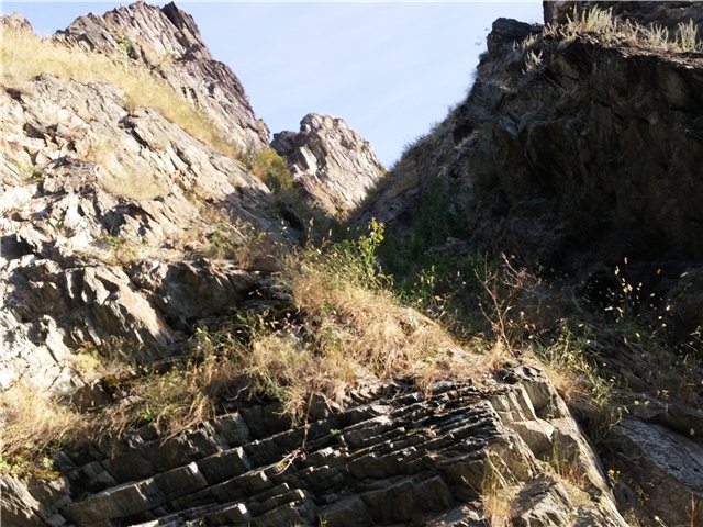 Однажды летним жарким днем.... Как Ева к конкурсу готовилась (фото 5)