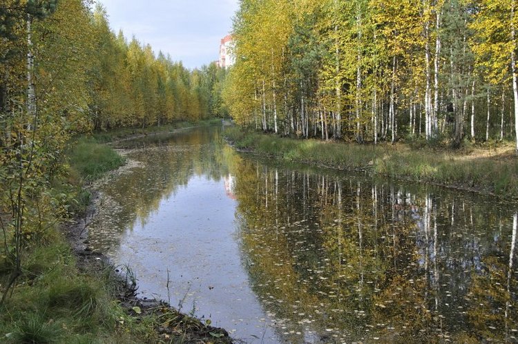 Люблю я пышное природы увяданье