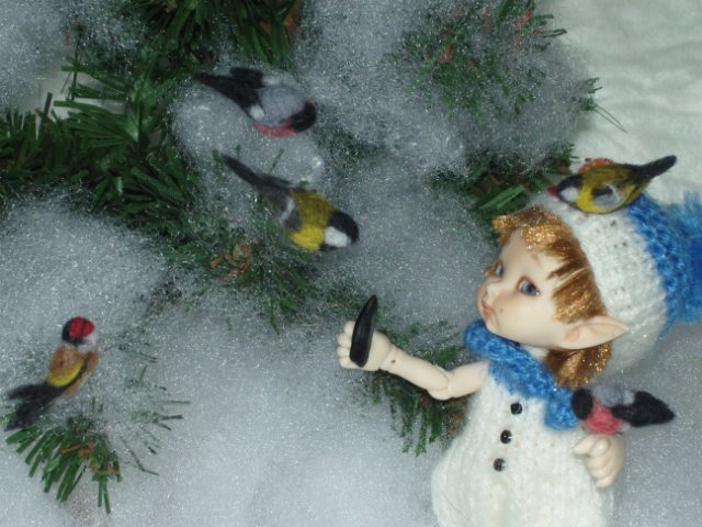 Зимние истории от Таниты. История 3 "Птички-невелички"