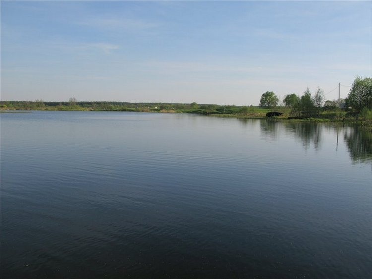 Прогулка с Райли. Riley от автора Helen Kish (фото 2)