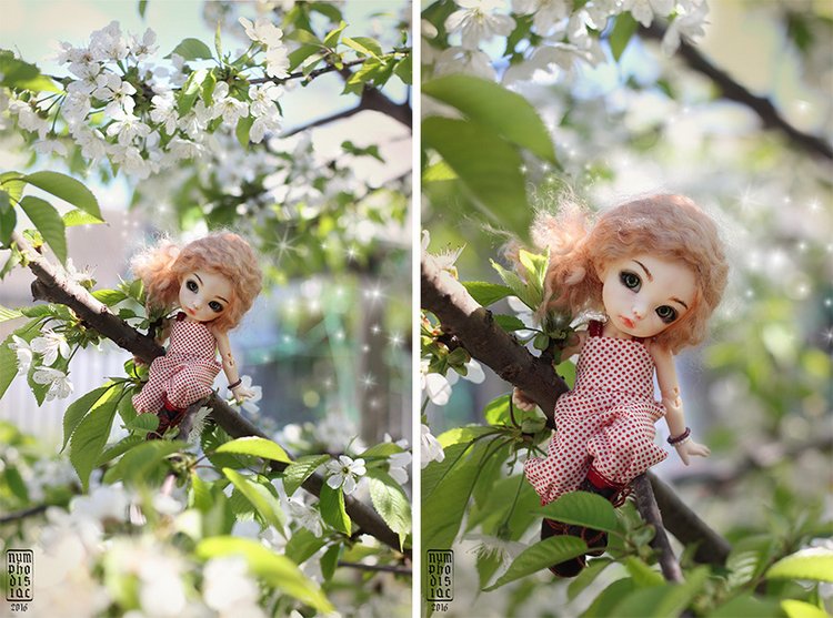 Майя в цветущем саду — Куклы Fairyland (ФэйриЛэнд): BJD (БЖД) (фото 2)