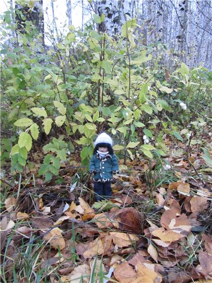 Осенняя прогулка. Куколка Helen Kish Zsu Zse