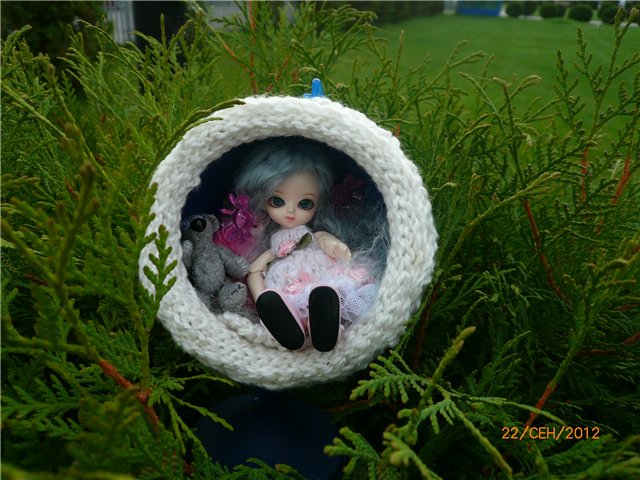 Сосенка Пин. Уютное гнездышко