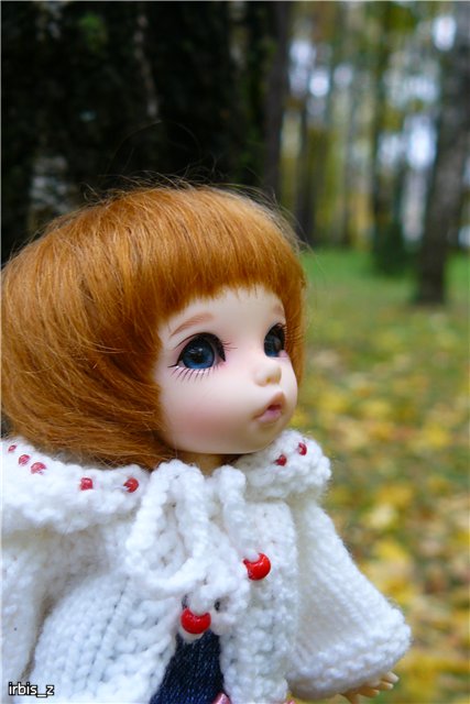 Вот так погуляли или Как у нас появилась кукла БЖД LittleFee Ante Elf