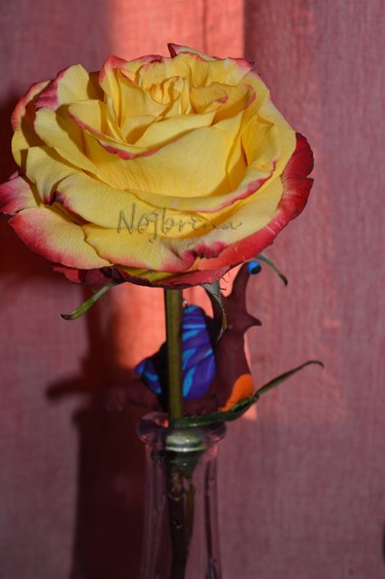 Уютное кресло. Вихтель от Rosemarie Anna Muller (фото 4)